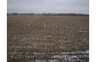 Property photo 2 - 71 Acres Offered in 2 Tracts